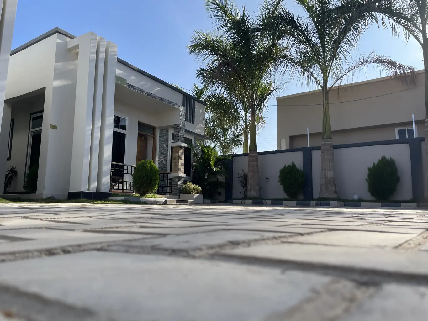 Property & Real Estate